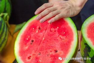 吃瓜改花刀,刀工精湛——吃瓜改花刀的艺术之旅