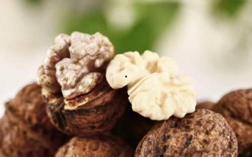 吃胡桃的堇瓜,一场舌尖上的奇幻之旅