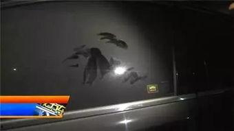 为了吃瓜擦车窗,巧用瓜汁擦亮车窗，一招两得的生活小窍门