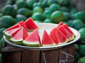 吃瓜加吃瓜,吃瓜与吃瓜的奇妙之旅