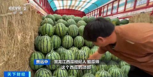 吃瓜是真的香,为何真相如此“香”