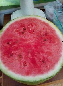 医院妇科吃瓜,揭秘医院里的那些“吃瓜”故事