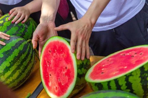 学院吃瓜群,校园生活趣味横生