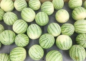 聚姬地吃瓜,揭秘娱乐圈背后的秘密与八卦