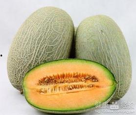 吃梅子可以吃哈密瓜吗,探寻梅子与哈密瓜的奇妙组合