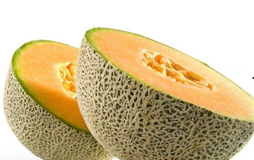 吃鸽子可以吃哈密瓜吗,揭秘鸽子与哈密瓜的完美搭配